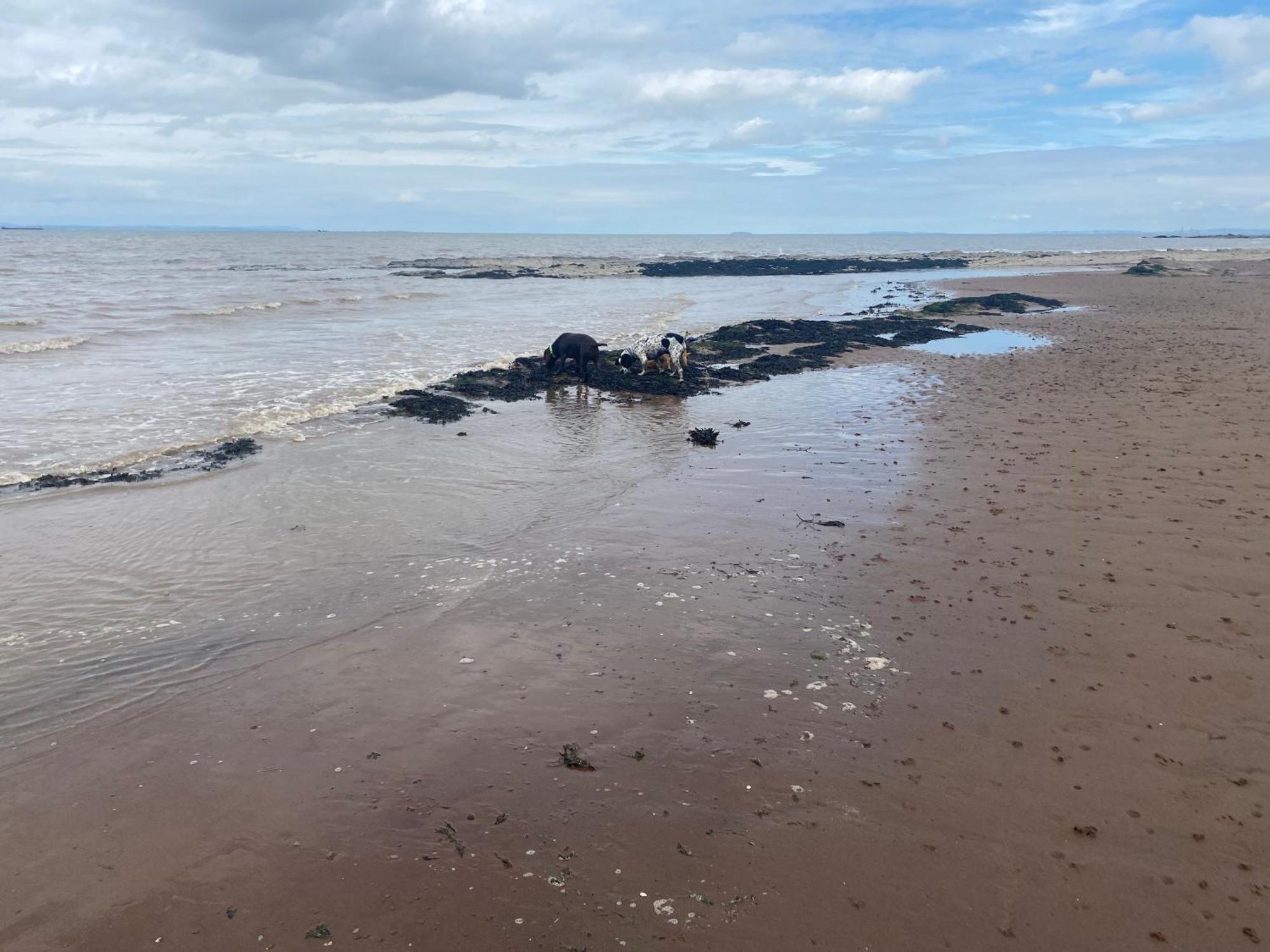 Villa Anchor'S Drop Blue Anchor Exterior foto